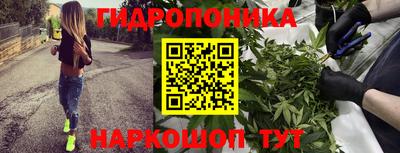 круглые Гай