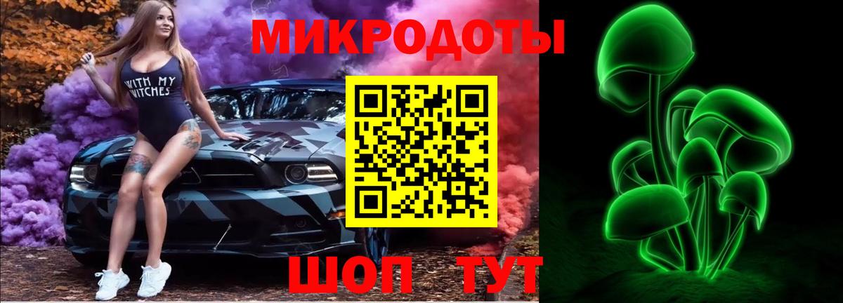 Псилоцибиновые грибы Psilocybine cubensis Каспийск